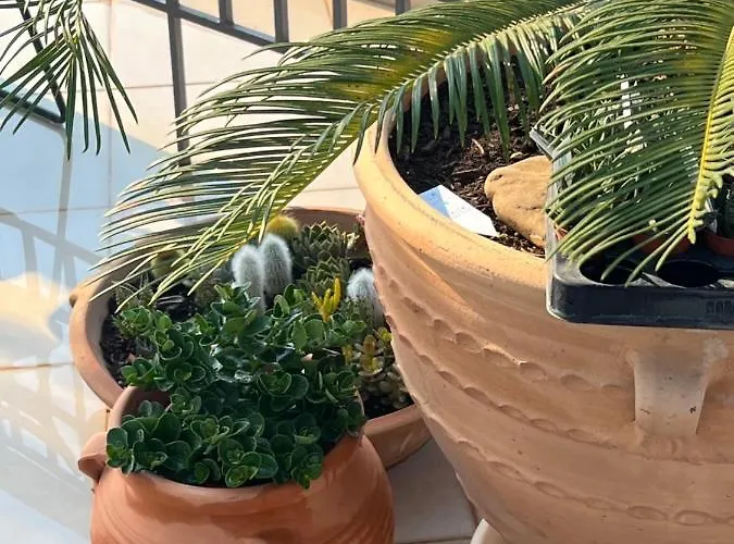 Magical Seaside Town Boutique Apts 2 Апартаменты