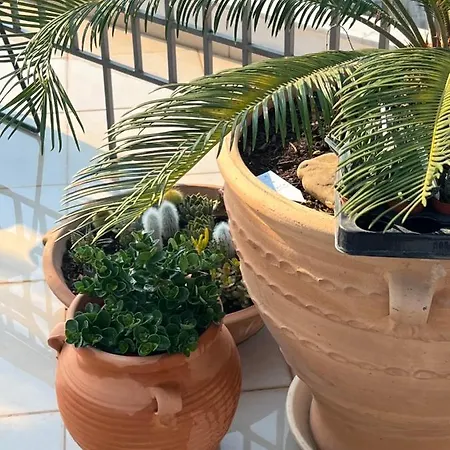 Magical Seaside Town Boutique Apts 2 Daire