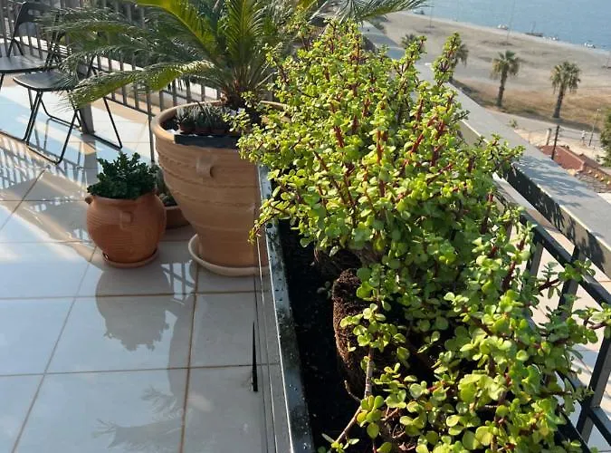 Magical Seaside Town Boutique Apts 2